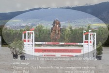 ref. photo 3140985
