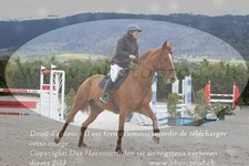 ref. photo 3140986