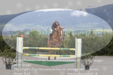 ref. photo 3141006