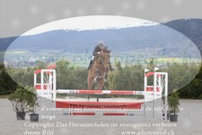 ref. photo 3141010