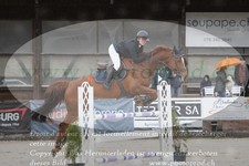 ref. photo 3141012