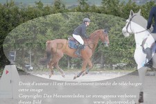ref. photo 3141031