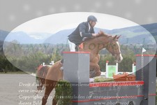 ref. photo 3141033