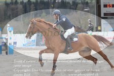 ref. photo 3141035