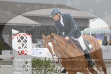 ref. photo 3141046