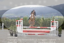 ref. photo 3141054