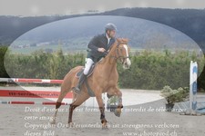 ref. photo 3141055