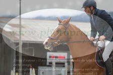 ref. photo 3141058