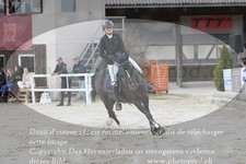 ref. photo 3141062