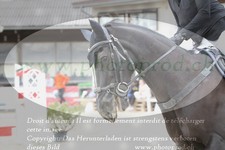 ref. photo 3141063