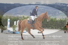 ref. photo 3141067
