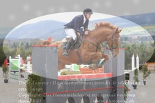 ref. photo 3141071