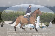 ref. photo 3141082