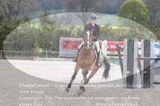 ref. photo 3141087