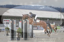 ref. photo 3141096
