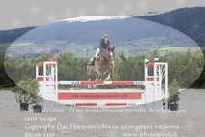 ref. photo 3141097