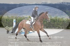 ref. photo 3141098