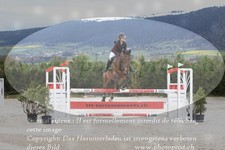 ref. photo 3141103