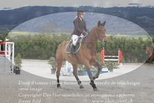 ref. photo 3141104