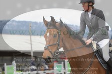 ref. photo 3141115