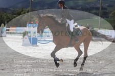 ref. photo 3141119
