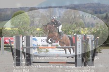 ref. photo 3141120