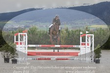 ref. photo 3141126
