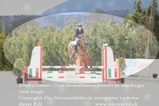 ref. photo 3141129