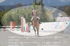 ref. photo 3141130
