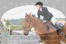 ref. photo 3141133