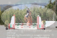 ref. photo 3141136