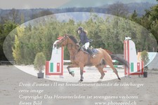 ref. photo 3141137