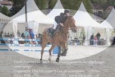 ref. photo 3141139