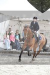ref. photo 3141141