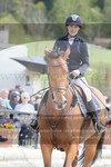 ref. photo 3141143