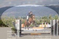 ref. photo 3141155