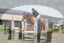 ref. photo 3141162