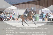 ref. photo 3141166