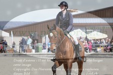 ref. photo 3141171