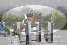 ref. photo 3141172