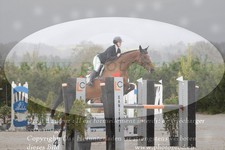 ref. photo 3141175