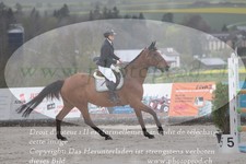 ref. photo 3141182