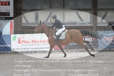 ref. photo 3141187