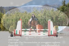 ref. photo 3141191