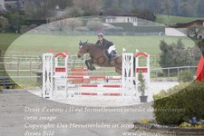ref. photo 3141196