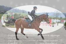 ref. photo 3141197