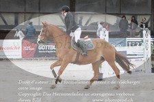 ref. photo 3141202