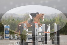 ref. photo 3141203