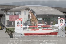 ref. photo 3141204