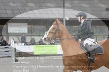 ref. photo 3141205